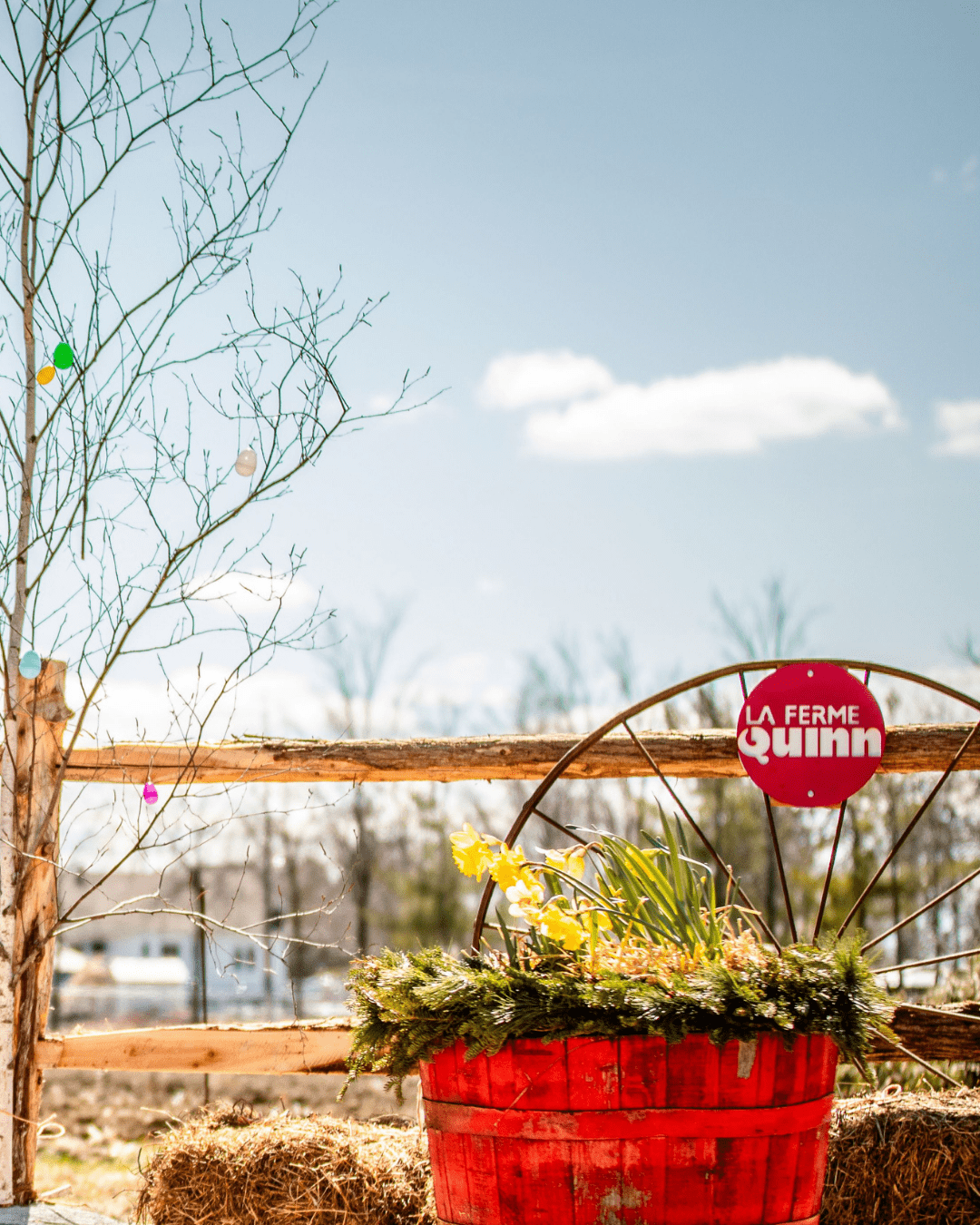ferme Quinn
