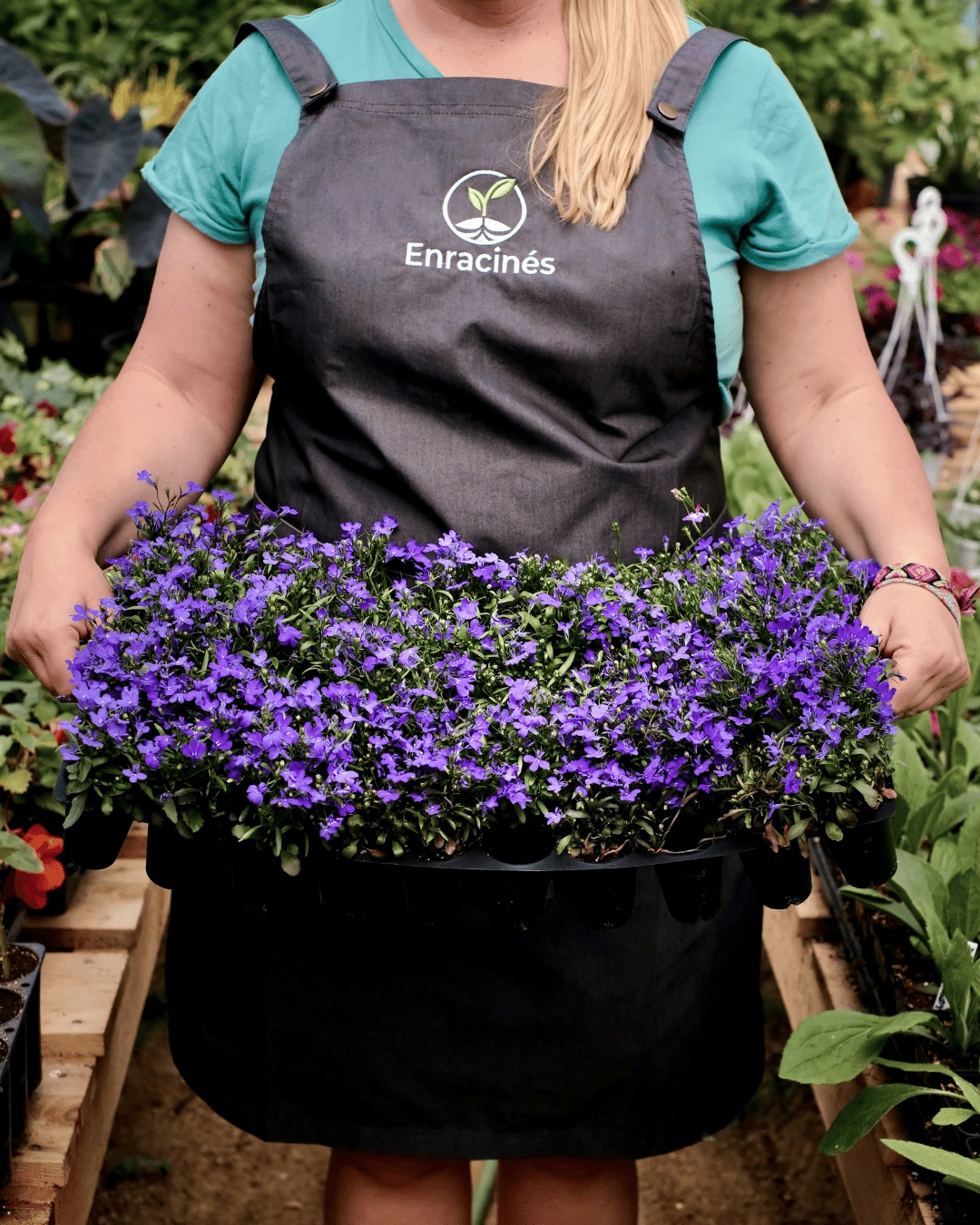 Jardinerie Enracinés