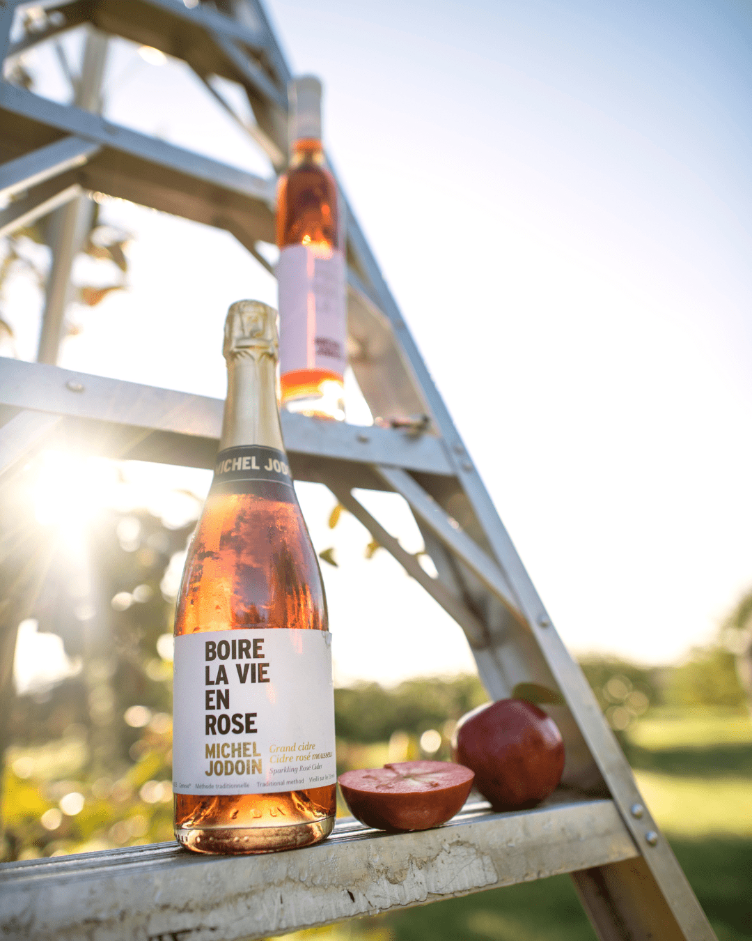 Célébrer la fête des Mères à la cidrerie : Cidrerie Michel Jodoin