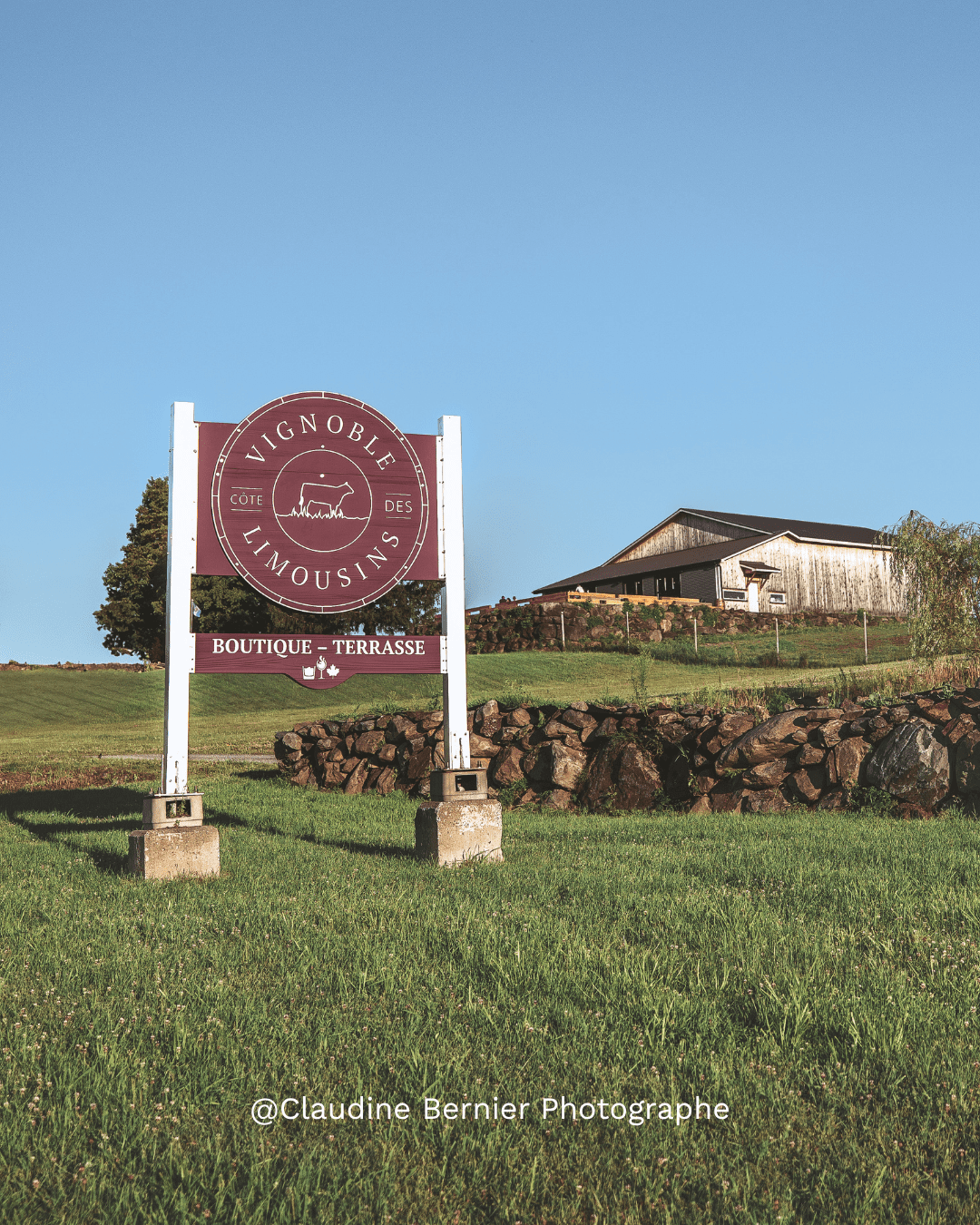 Dégustation & atelier beauté : Vignoble Côte des Limousins