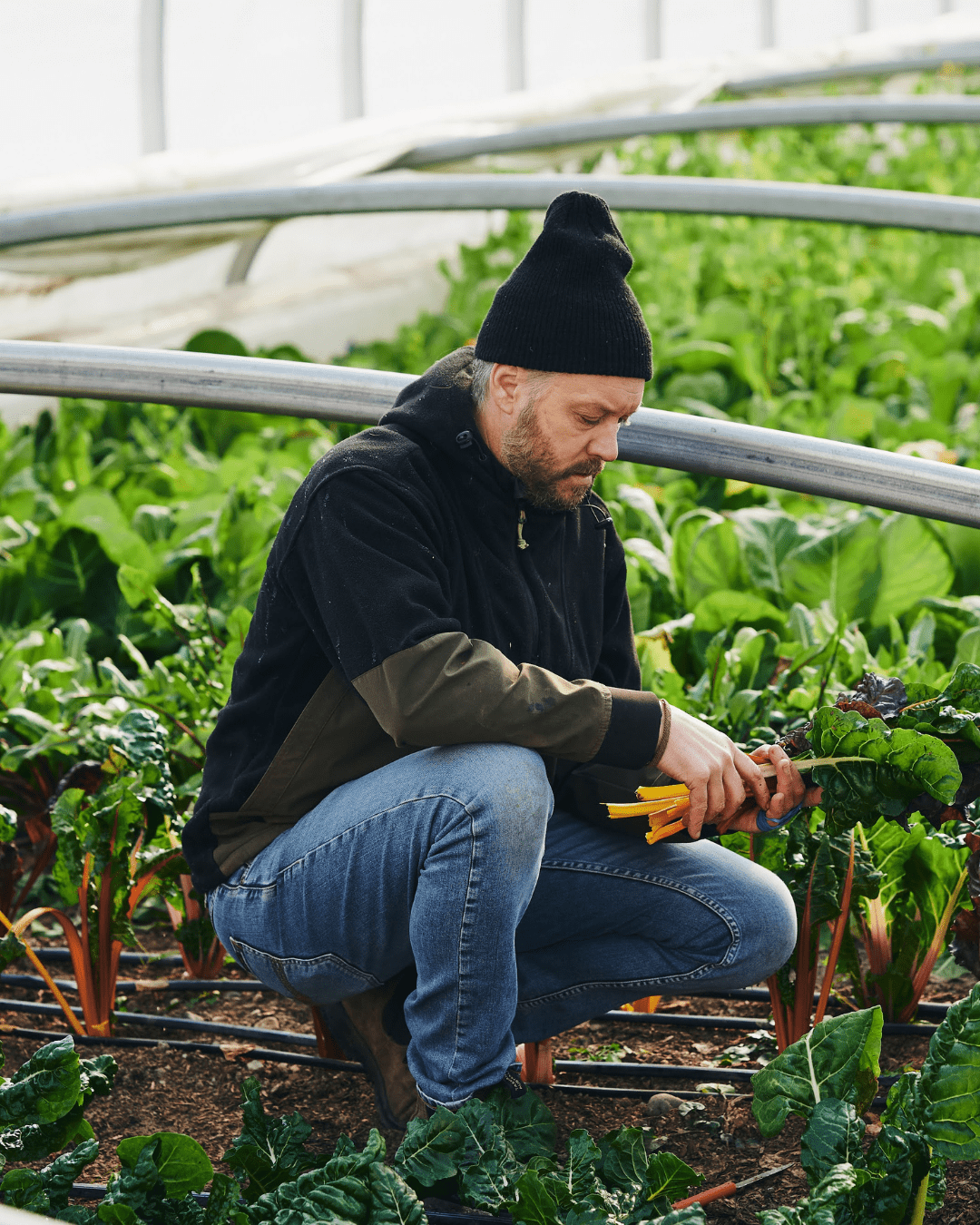 Journée au jardin et repas avec Jean-Martin Fortier : Espace Old Mill