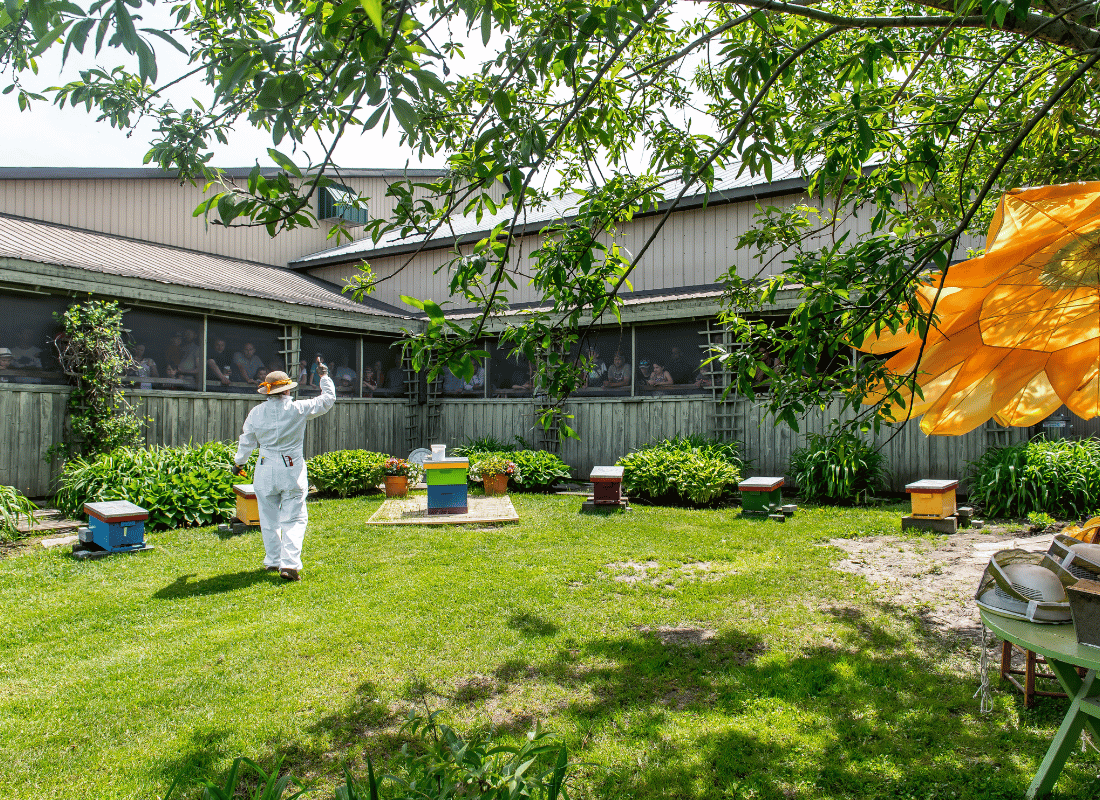 Activités du printemps