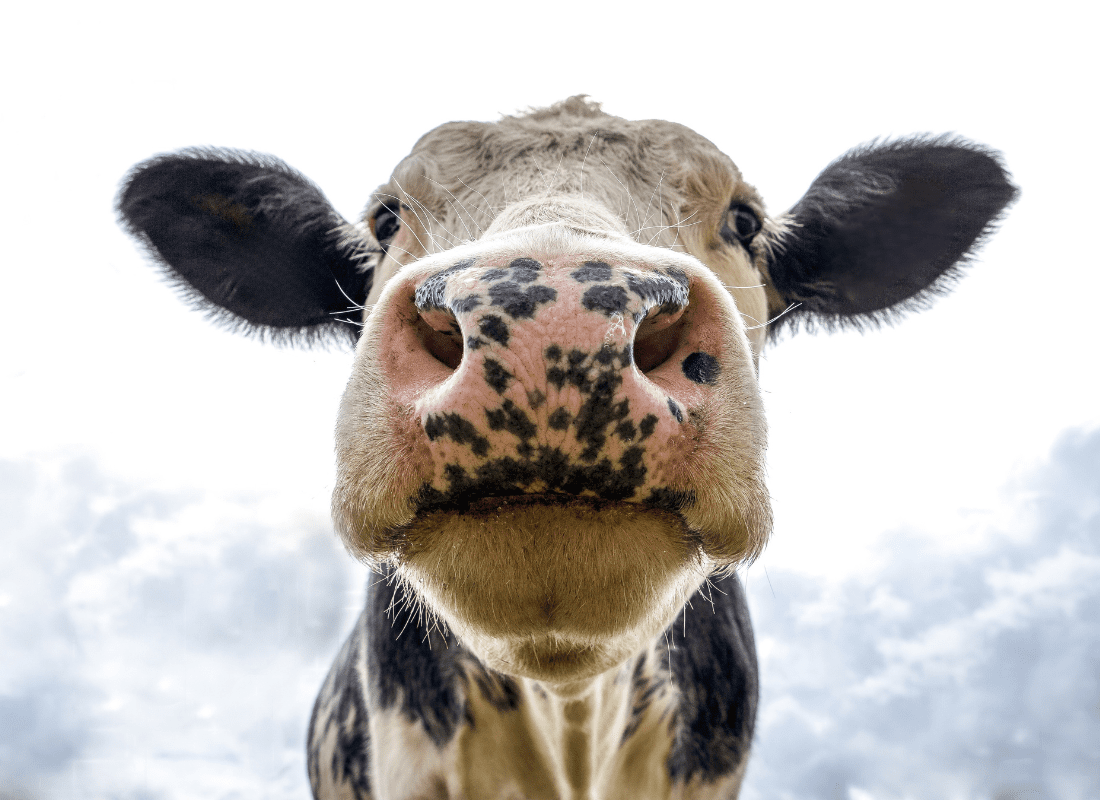 guide-des-nouveautes-2026-tourisme-gourmand