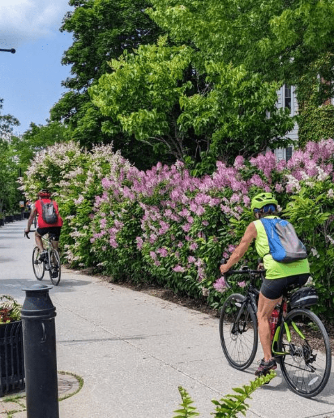 ©crédit Gourmande boutique, activités estivales 2026, sortie gourmande à vélo été
