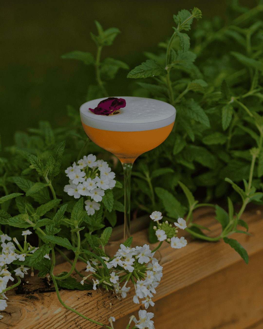 Apéro dans le champ Au Pâturage - Espace Gourmand