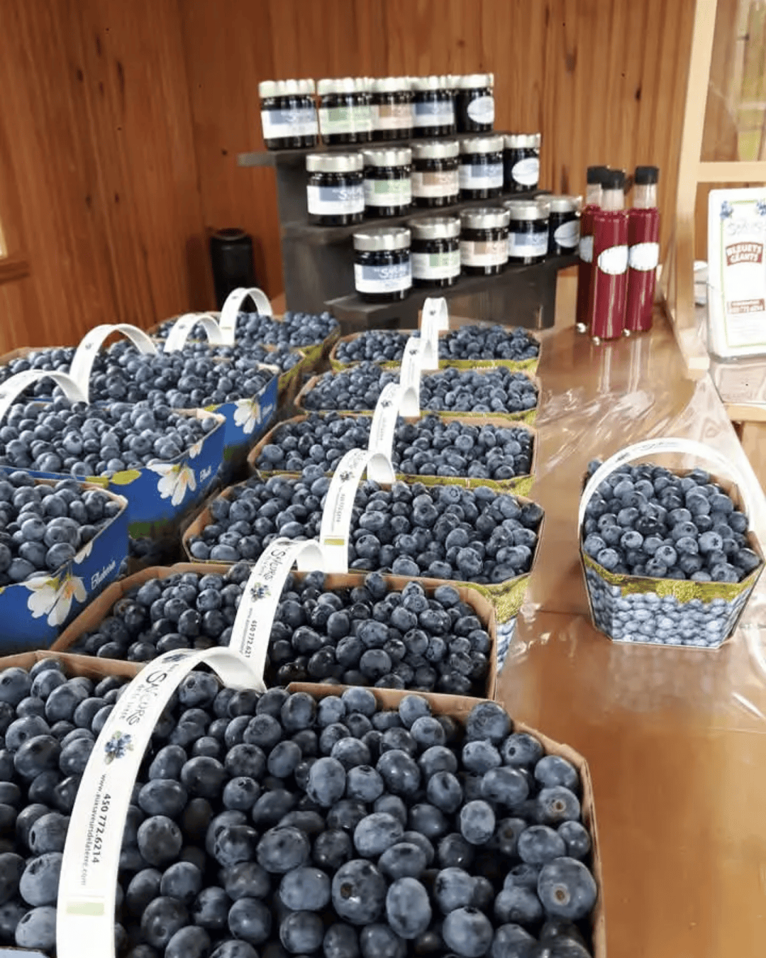 Aux Saveurs de la Terre : une autocueillette avec vue, activité